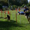 agility verriere 2011-10-01